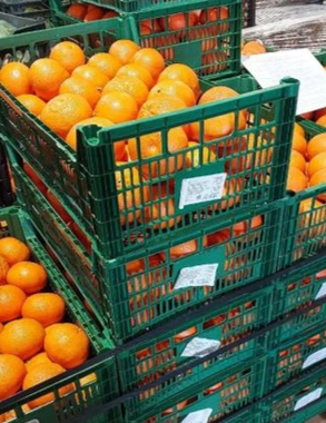 На прилавки кировских магазинов попали 6 тонн зараженных мандаринов