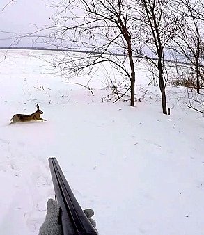 Кировчанин по ошибке застрелил друга во время охоты в Республике Коми