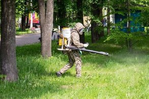 За неделю клещи покусали четырех жителей Кировской области