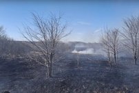 В Нолинске произошел крупный пожар: пожарные борются с огнем с утра