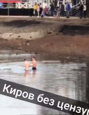 Купальный сезон открыт: в пруду у цирка в Кирове заметили двух пловцов