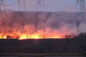За один день в Кировской области зафиксировали больше 10 пожаров на открытой территории