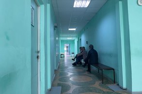 Клещи покусали 25 человек в Кировской области за неделю